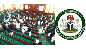 Reps summon Edun, Cardoso over audit Infractions, fiscal act breach