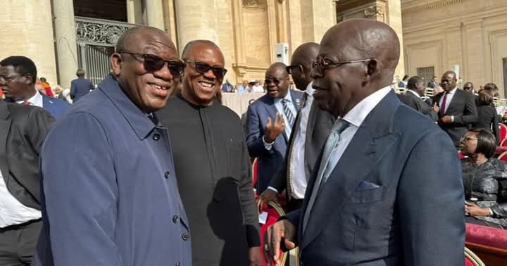 Pope’s inauguration: Tinubu, Obi, Fayemi share light moments