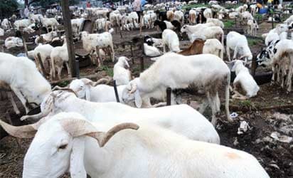 Eid-el-Kabir: FG declares Friday, Monday public holidays
