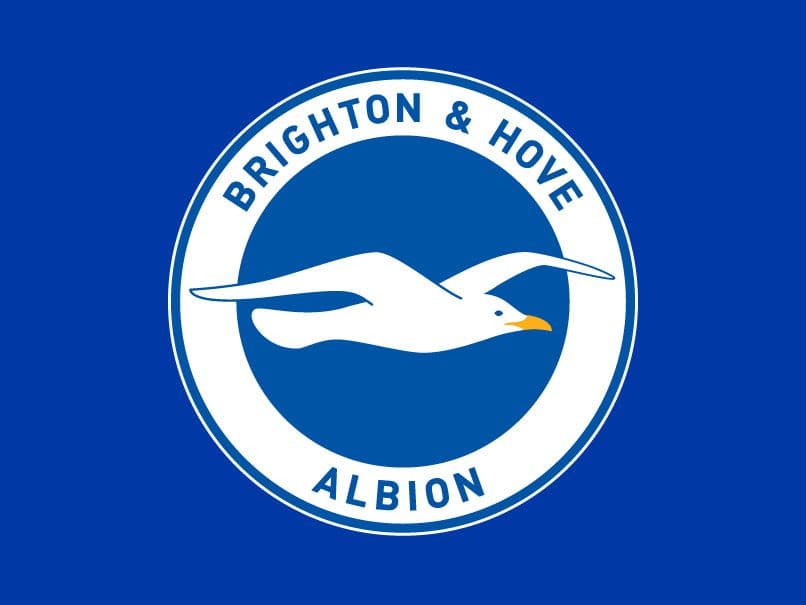 EPL: Brighton fan dies after falling ill at Fulham game