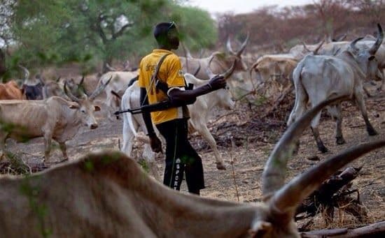 Armed herders kill four security men on patrol in Benue