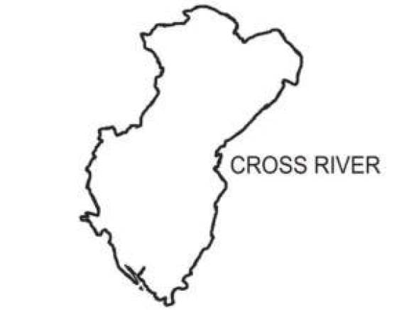 Mob burns another C’River transformer vandal to death