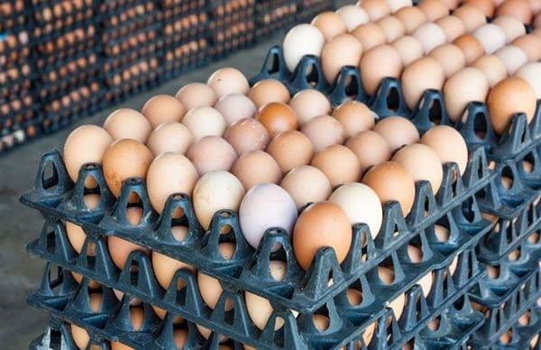 Consumers fault poultry farmers over reported slash in egg prices
