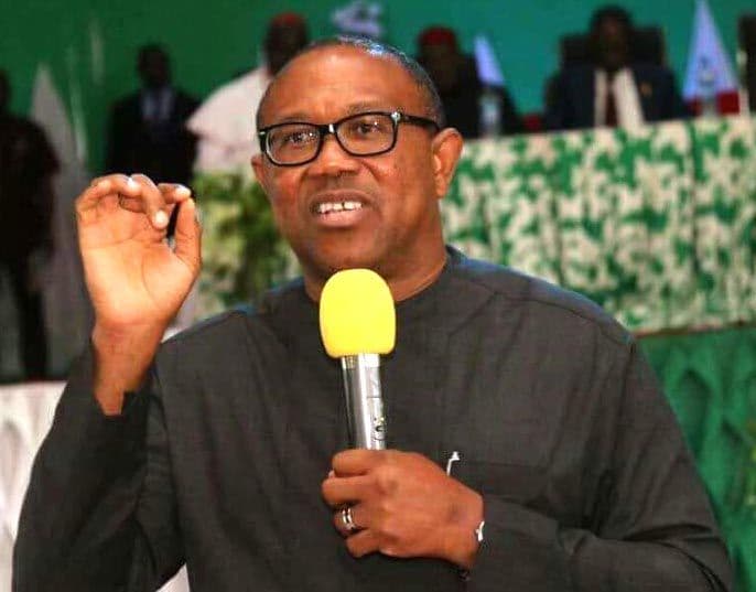 Bala Mohammed hosts Peter Obi, southeast leaders in Bauchi