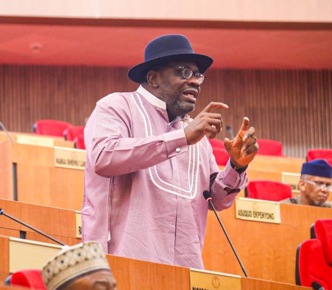 Dickson faults Natasha’s suspension, calls for her recall