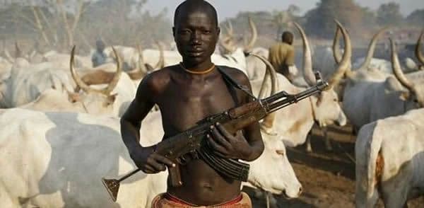 Herders kill Plateau farmer over grazing on millet farm